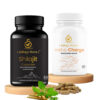 Energy & Vitality